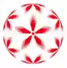 Лига Надешико, Дивизион 1, Женщины