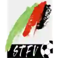 Steiermark, Landesliga