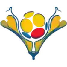 LigaPro Primera A