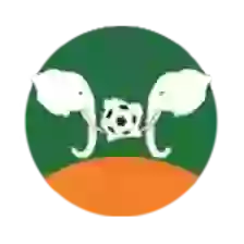 Ligue 1
