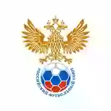 Giải đấu khu vực