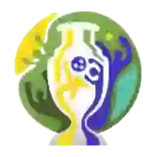 Copa America
