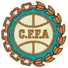 Torneo Federal B