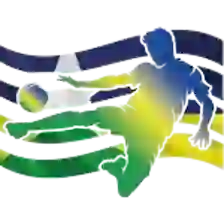 Чемпионат Рондоньенсе