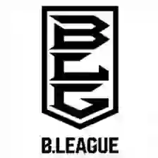 B League. Division 3