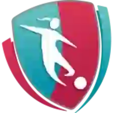 Camopeonato Femenino, Women