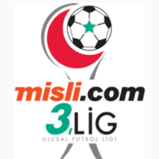 3. Lig, Playoffs