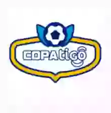 Copa Division Profesional