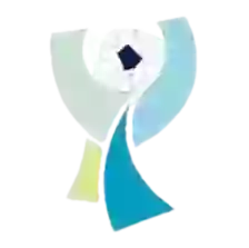 Суперкубок Турции