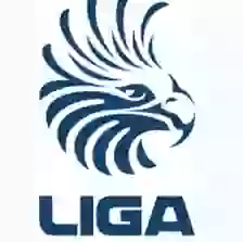 Liga Panameña de Fútbol, Clausura