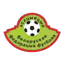 Liga Regional B