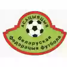 Giải vô địch Belarus U19