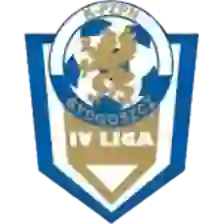 Liga 4