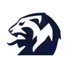 Чемпионат Норвегии