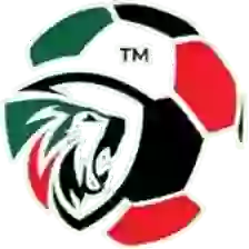 Премьер-лига