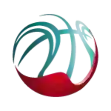 Siêu Liga