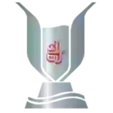 Copa Emiratos