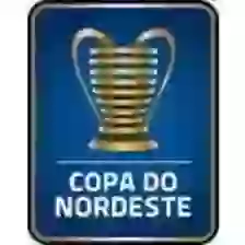 Brazil. Giải vô địch bóng đá miền Đông U20