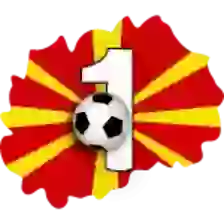 1. MFL