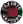 Toronto Raptors (SHELL)