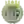 Киффен (жен)