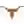 Texas Longhorns