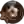 Арад