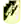 IF 하가