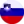 Slovenya U19