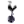 Tottenham Hotspur (ENT)