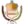 Legionovia