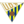 Томарес (19)