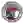 Tampa Spartans