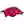 Arkansas Razorbacks
