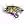 Towson Tigers