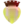 Camara de Lobos