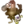 Gilbertina Soresina