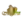 Політас де Ізабела (жін)