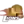 Дублин Лайонс