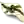Анорга ККЕ (жен)
