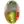 Ternana Calcio S19