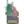 Straseni