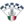 ASD Cascina