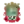 CD Moana