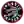 Toronto Raptors 