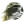 Джей Ті Ягуарс (жін)