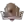 ІУПІ Ягуарс (жін)
