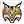 Quinnipiac Bobcats