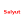 Salyut U17