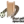 Ajman